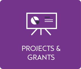 Projects and grants