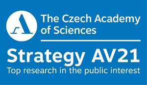 Strategy AV21 logo Strategy AV21 logo